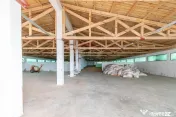 Ferma moderna de porci de vanzare in Curtuiusu Dejului 