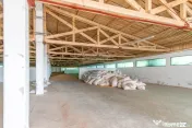 Ferma moderna de porci de vanzare in Curtuiusu Dejului 
