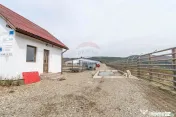 Ferma moderna de porci de vanzare in Curtuiusu Dejului 