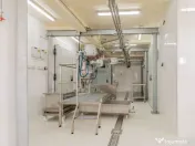 Ferma moderna de porci de vanzare in Curtuiusu Dejului 