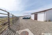 Ferma moderna de porci de vanzare in Curtuiusu Dejului 