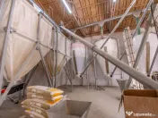 Ferma moderna de porci de vanzare in Curtuiusu Dejului 