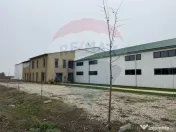 Ferma agro-industrială – 43 ha Adunații Copaceni 