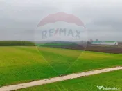 Ferma agro-industrială – 43 ha Adunații Copaceni 