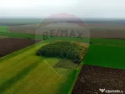 Ferma agro-industrială – 43 ha Adunații Copaceni 