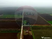 Ferma agro-industrială – 43 ha Adunații Copaceni 