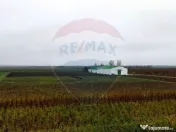Ferma agro-industrială – 43 ha Adunații Copaceni 