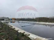 Ferma agro-industrială – 43 ha Adunații Copaceni 