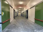 Ferma agro-industrială – 43 ha Adunații Copaceni 