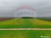 Ferma agro-industrială – 43 ha Adunații Copaceni 