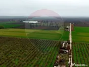 Ferma agro-industrială – 43 ha Adunații Copaceni 