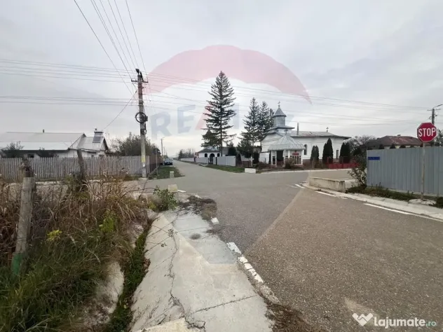 Casă 4 camere Rachitosu