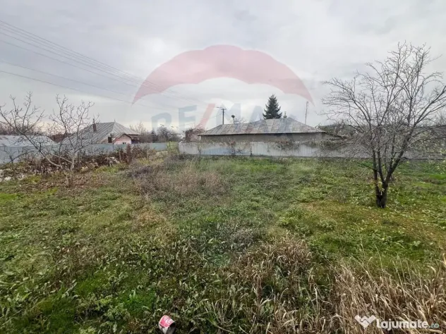 Casă 4 camere Rachitosu