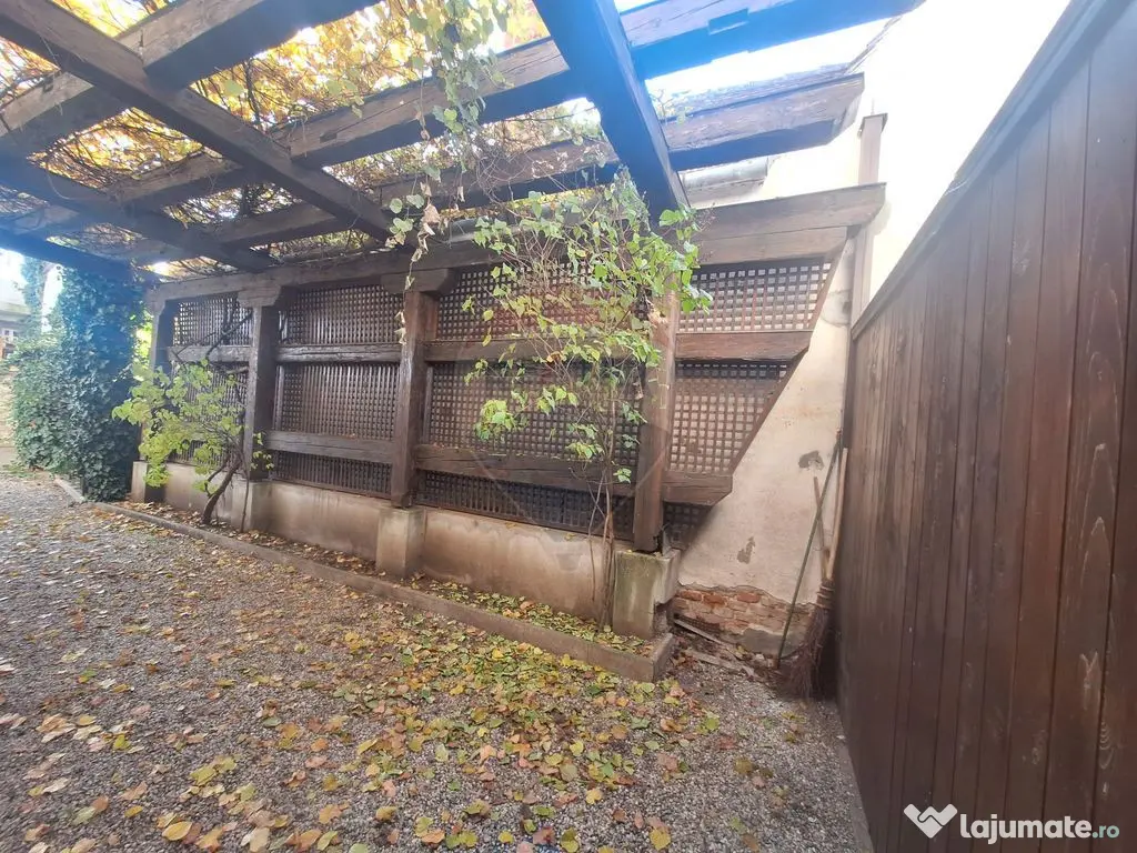 Sp comercial generos si versatil, cu destinatie medicala ...