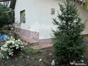 Casa 3 camere situata in Valul lui Traian 