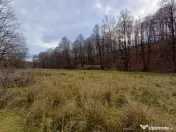 Resita, Teren Drept Intravilan, Langa Prau si Drum, Parcelab 