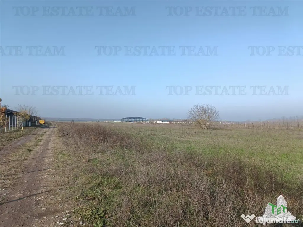 Teren intravilan la DJ 101, in Gruiu, aproape de manastirea