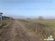 Teren intravilan la DJ 101, in Gruiu, aproape de manastirea 
