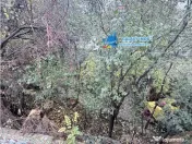 Apartament 2 camere cu curte proprie, zona Celofibrei, Braga 