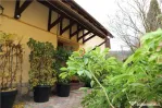 Vila Oportunitate Unica
