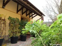 Vila Oportunitate Unica