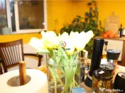 Vila Oportunitate Unica 