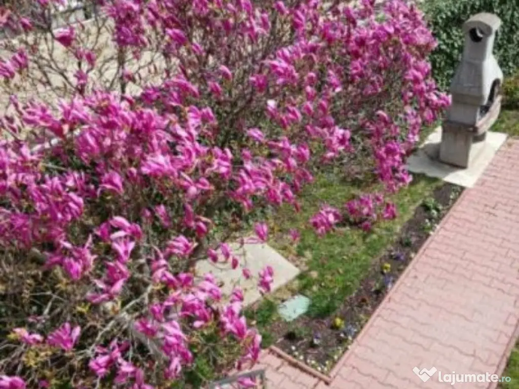 Casa de vanzare – Domnesti, 4 camere