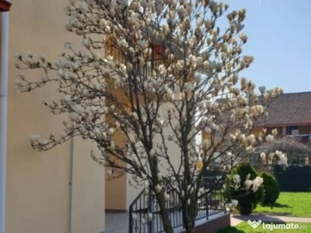 Casa de vanzare – Domnesti, 4 camere