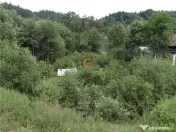 Teren intravilan cu PUZ 