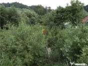 Teren intravilan cu PUZ 