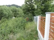 Teren intravilan cu PUZ 