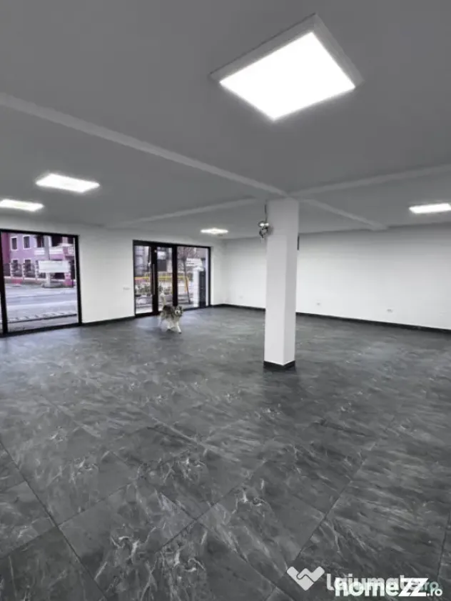 Spatiu Comercial 120 mp utili Podari - Podari (Dolj)