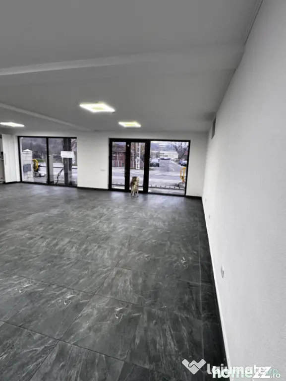 Spatiu Comercial 120 mp utili Podari - Podari (Dolj)