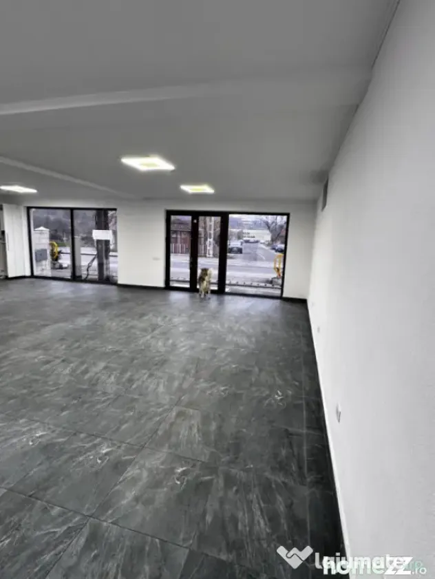 Spatiu Comercial 120 mp utili Podari - Podari (Dolj)