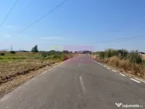 Teren Domnesti- Fortului.