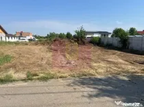 Teren Clinceni- Putul Olteni- Crizantemelor.