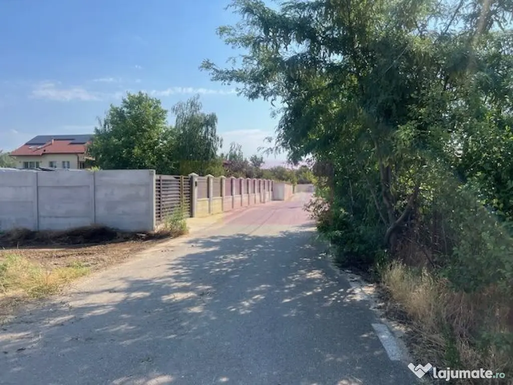 Teren Clinceni- Putul Olteni- Crizantemelor.