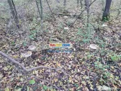 Teren intravilan Targoviste 