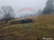 Teren intravilan 26232m.p. Dorna-Arini / Cozănești 
