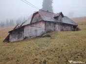 Teren intravilan 26232m.p. Dorna-Arini / Cozănești 