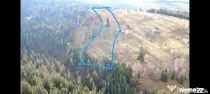 Teren intravilan 26232m.p. Dorna-Arini / Cozănești