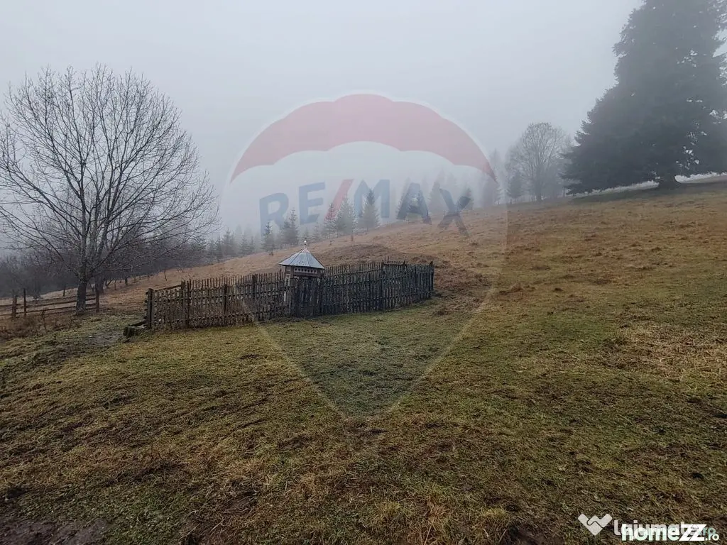 Teren intravilan 26232m.p. Dorna-Arini / Cozănești