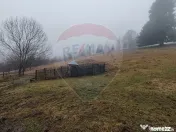 Teren intravilan 26232m.p. Dorna-Arini / Cozănești 