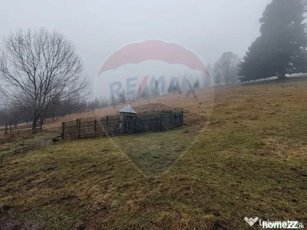 Teren intravilan 26232m.p. Dorna-Arini / Cozănești