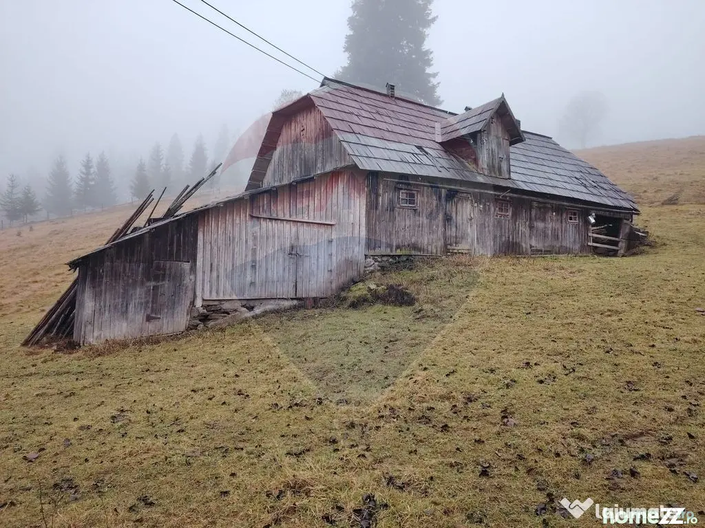 Teren intravilan 26232m.p. Dorna-Arini / Cozănești