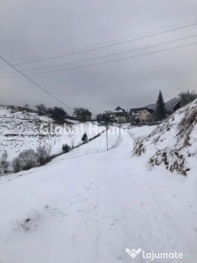 Teren 725 MP | Moieciu de Jos | Piatra Craiului | Oportunita