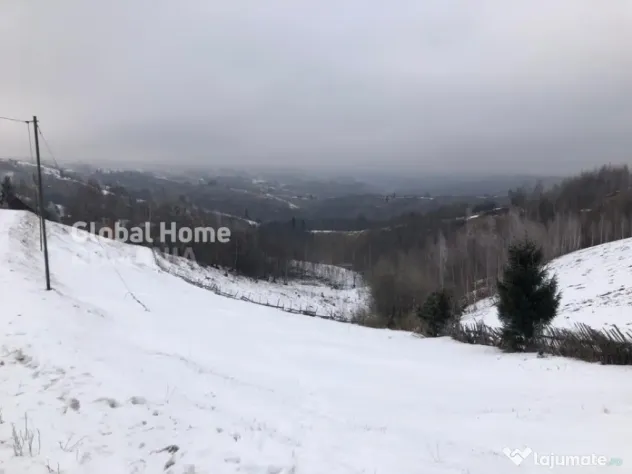 Teren 725 MP | Moieciu de Jos | Piatra Craiului | Oportunita