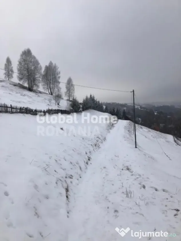 Teren 725 MP | Moieciu de Jos | Piatra Craiului | Oportunita