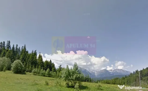 Teren de vanzare la Azuga la Partia Cazacu