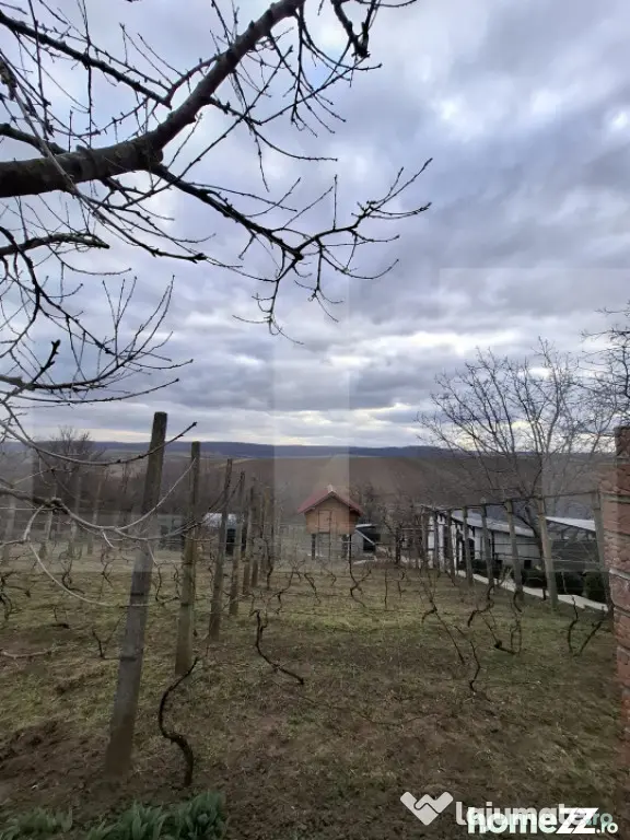 Teren extravilan, 17.300 mp, Stancesti